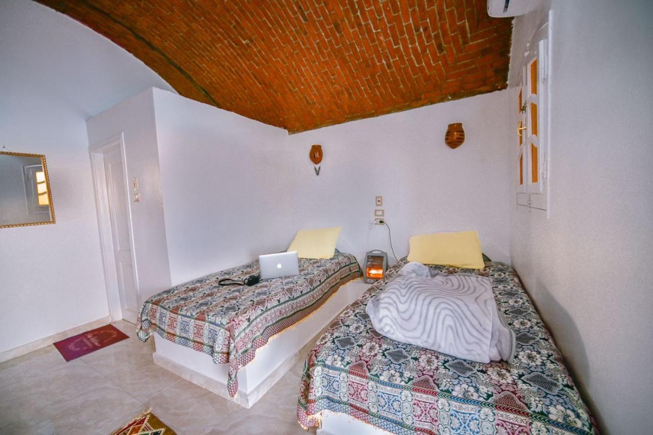 Kafana Guest House Nile View أسوان المظهر الخارجي الصورة