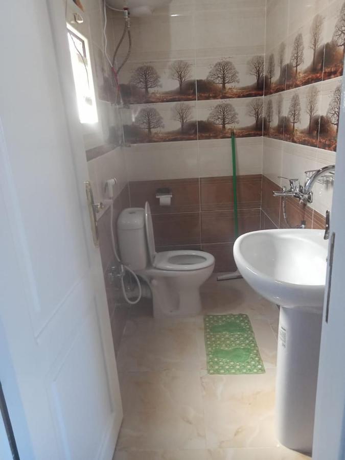 Kafana Guest House Nile View أسوان المظهر الخارجي الصورة