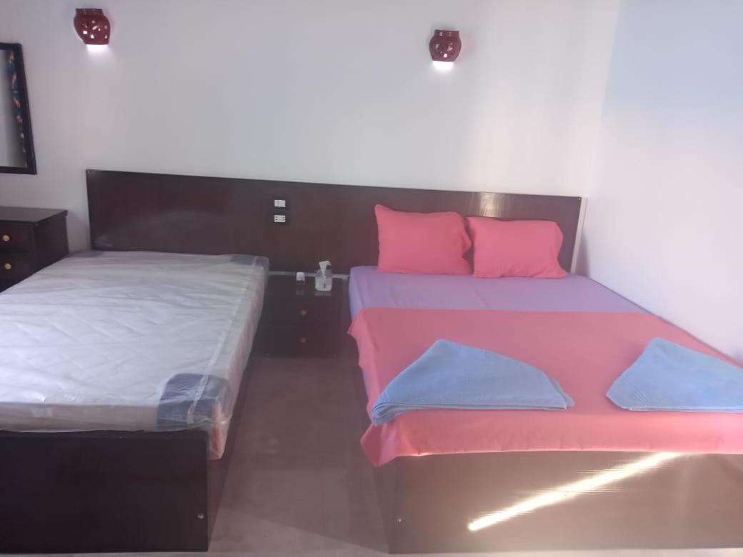 Kafana Guest House Nile View أسوان المظهر الخارجي الصورة