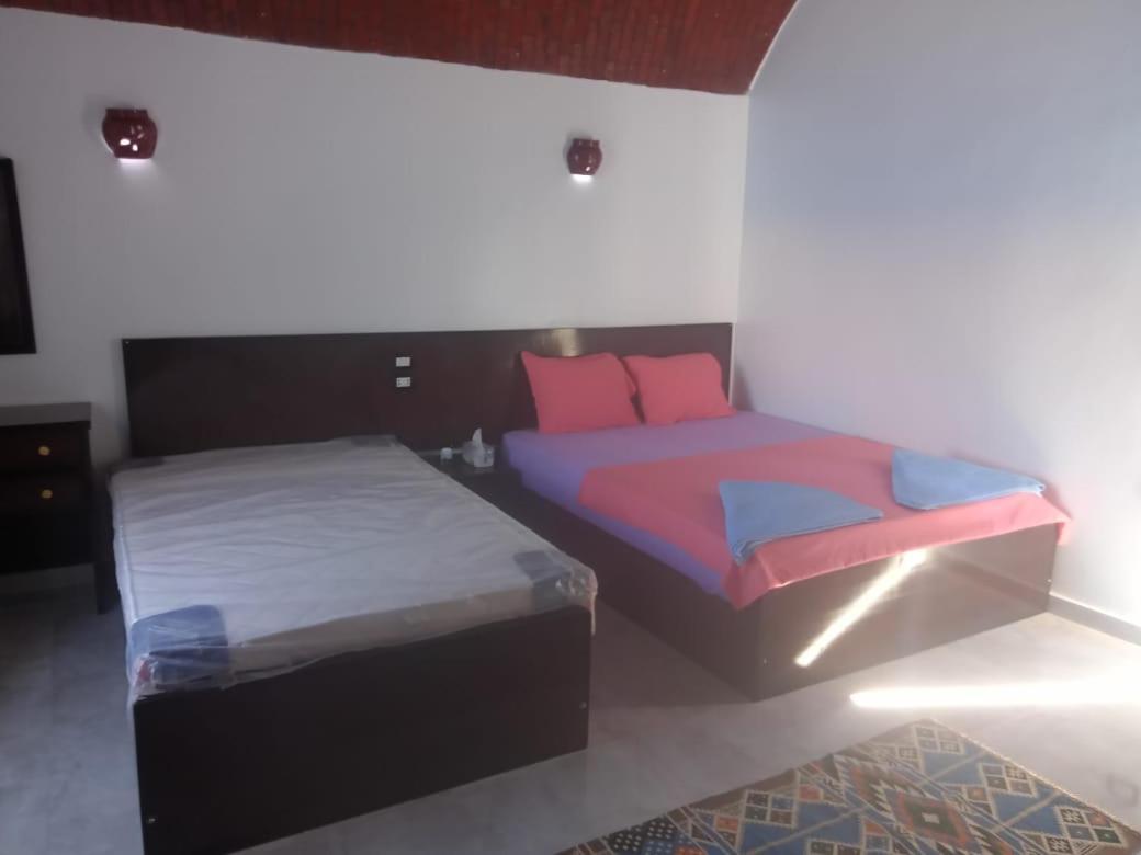 Kafana Guest House Nile View أسوان المظهر الخارجي الصورة