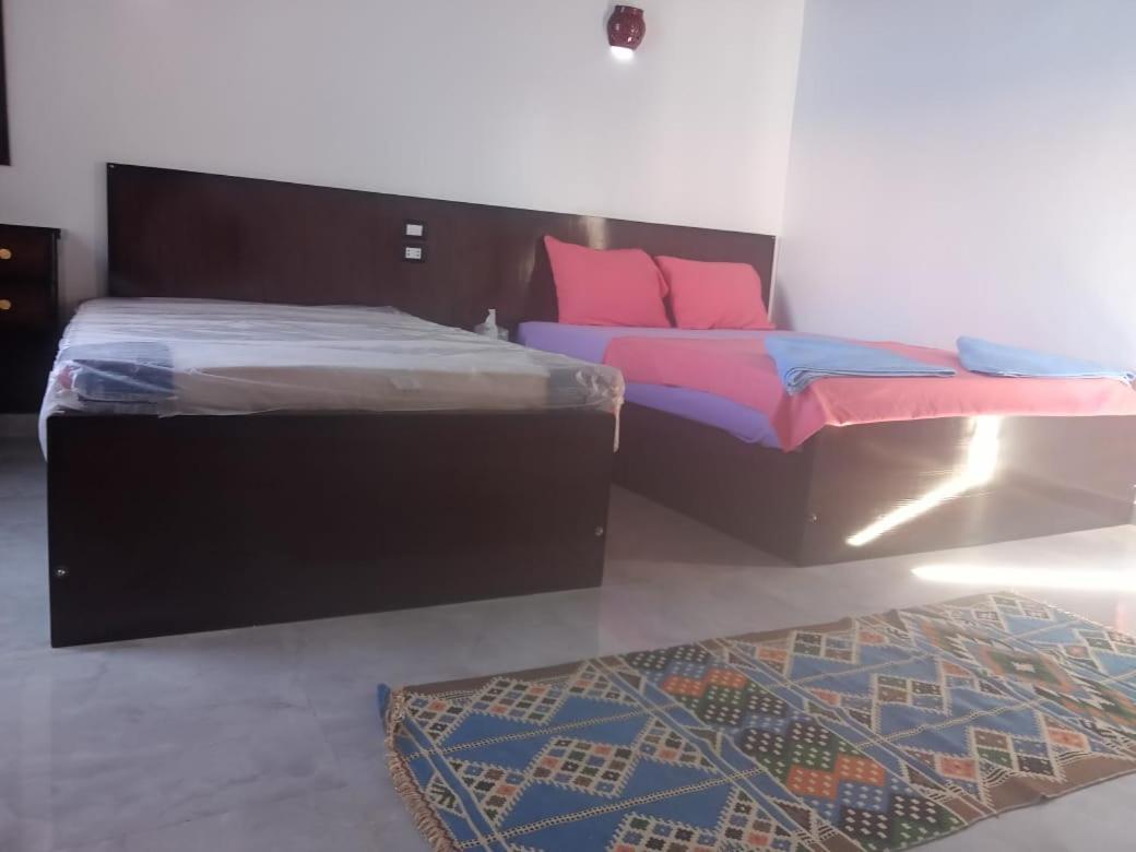 Kafana Guest House Nile View أسوان المظهر الخارجي الصورة